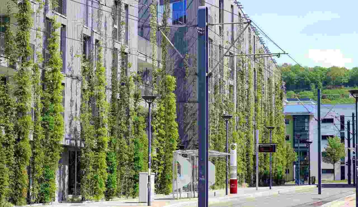 Green building: cos’è e come funziona - 