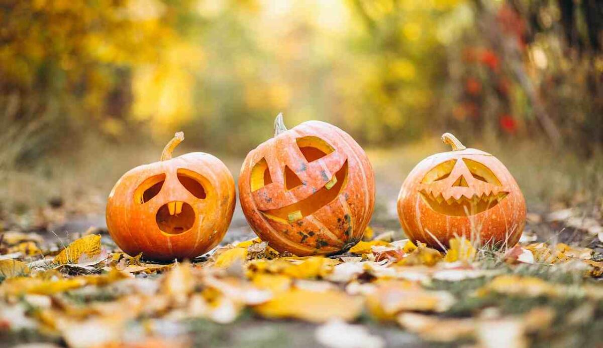 Ecco 10 film da vedere a Halloween - Zucche di Halloween (Pixabay FOTO) - www.managementcue.it