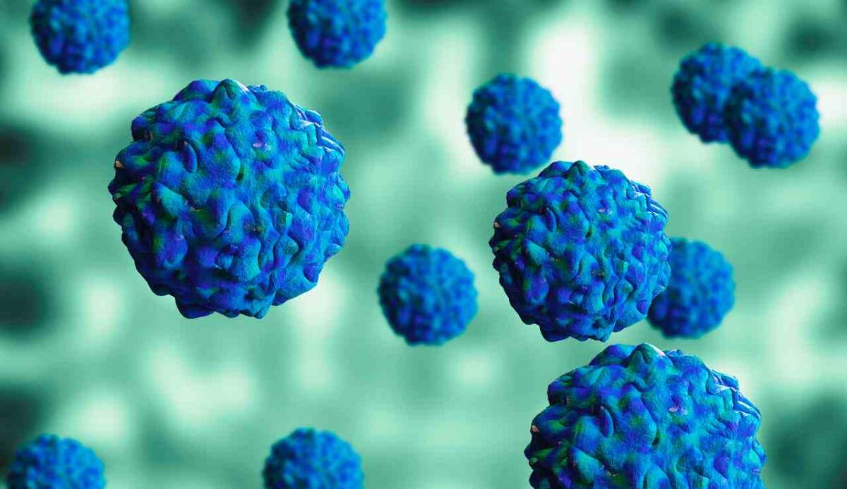 Il poliovirus che potrebbe essere uscito da un laboratorio - Poliovirus (Depositphotos FOTO) - www.biomedicalcue.it