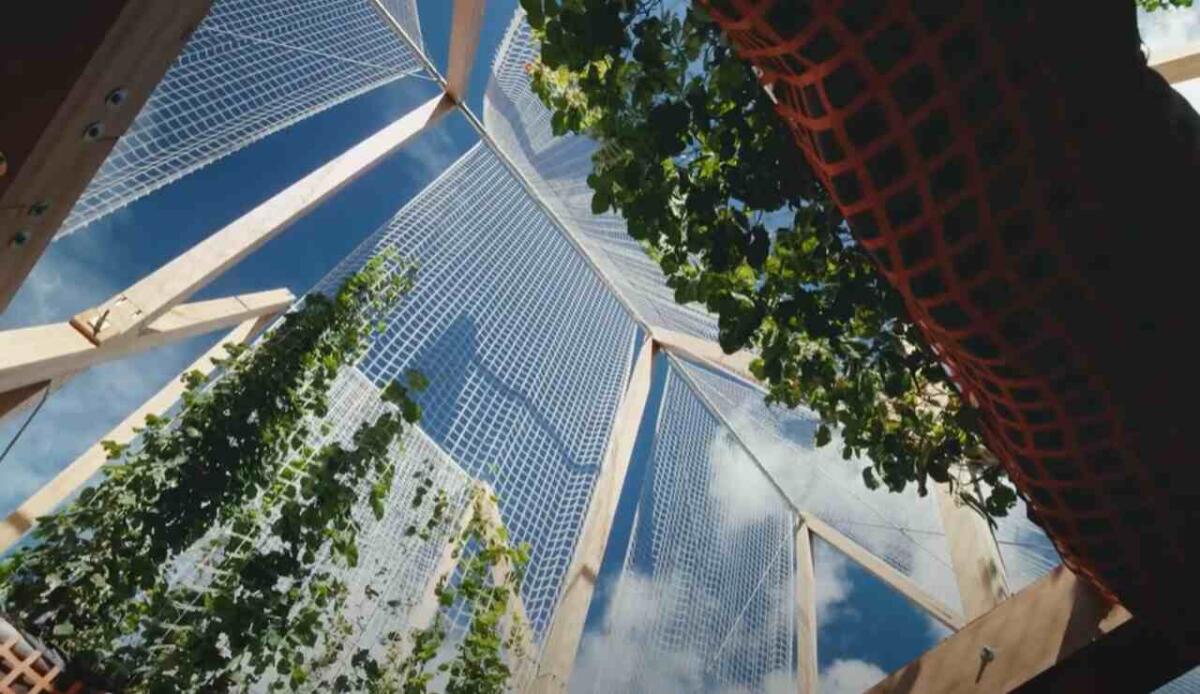 Città meno calde grazie a costruzioni innovative - Struttura VERT vista dall'interno (screenshot Americanhardwood org/YouTube) - www.buildingcue.it