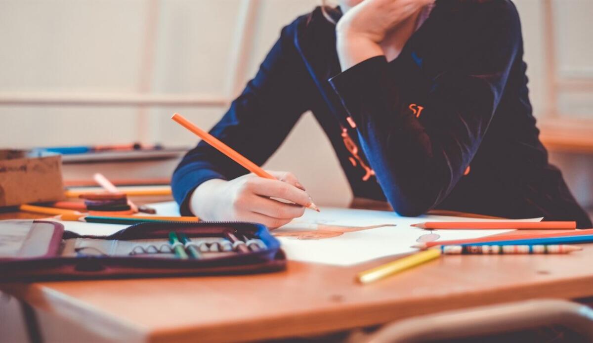 Quanto sono sicure le nostre scuole? - Alunno che frequenta la scuola (Pixabay Foto) - www.buildingcue.it
