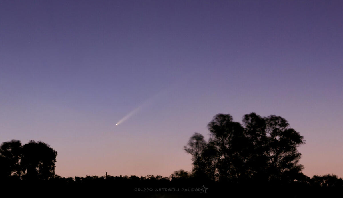La Cometa C/2023 A3 Atlas vista all'alba dal Gruppo Astrofili Palidoro - La Cometa C/2023 A3 Tsuchishan-ATLAS all'alba del 30 settembre sulle campagne di Palidoro. Foto di Giuseppe Conzo del Gruppo Astrofili Palidoro ottenuta con Camera Panasonic DC-FZ10002 come somma di 12 pose da 5 secondi ISO-1600 a 200mm