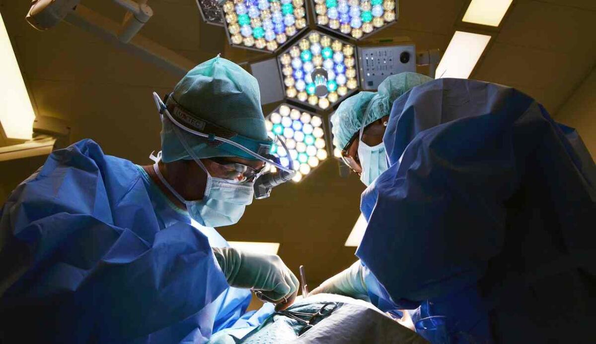 Un chirurgo italiano ha effettuato il primo intervento da remoto per asportare un tumore al rene - Intervento chirurgico (Pixabay foto) - www.biomedicalcue.it