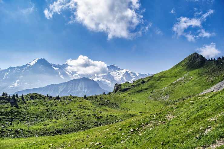 Montagna