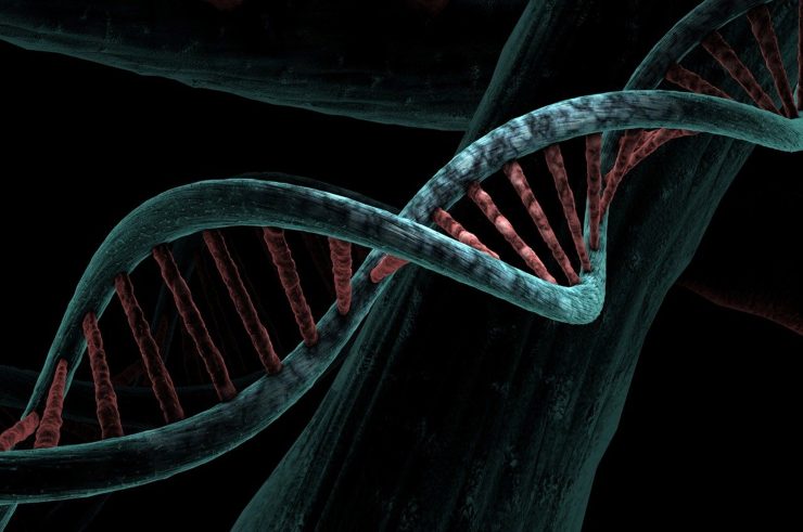 DNA (Pixabay foto) - www.biomedicalcue.it
