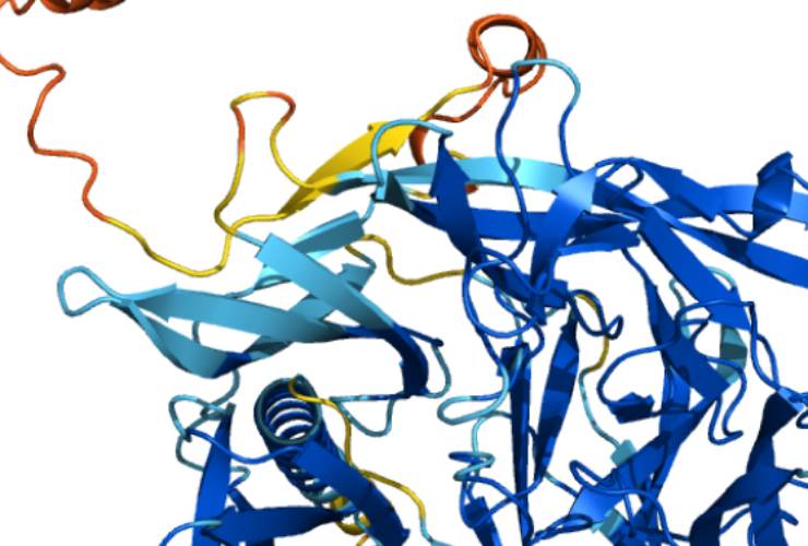 Illustrazione della proteina Q8I3H7, che può proteggere dalla malaria (Alphafold FOTO) - www.biomedicalcue.it