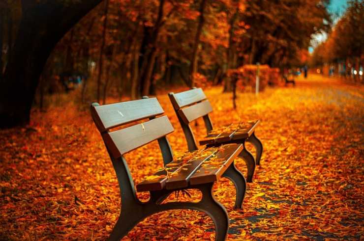 Autunno destinato a scomparire (Pixabay foto) - www.sciencecue.it