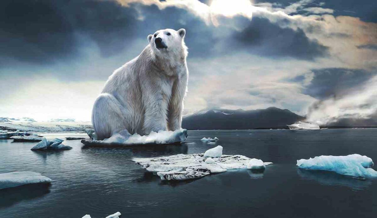 Il temuto limite di 1,5 gradi è più vicino di quello che speravamo - Un orso polare e il ghiaccio che si scioglie (Pixabay FOTO) - www.energycue.it
