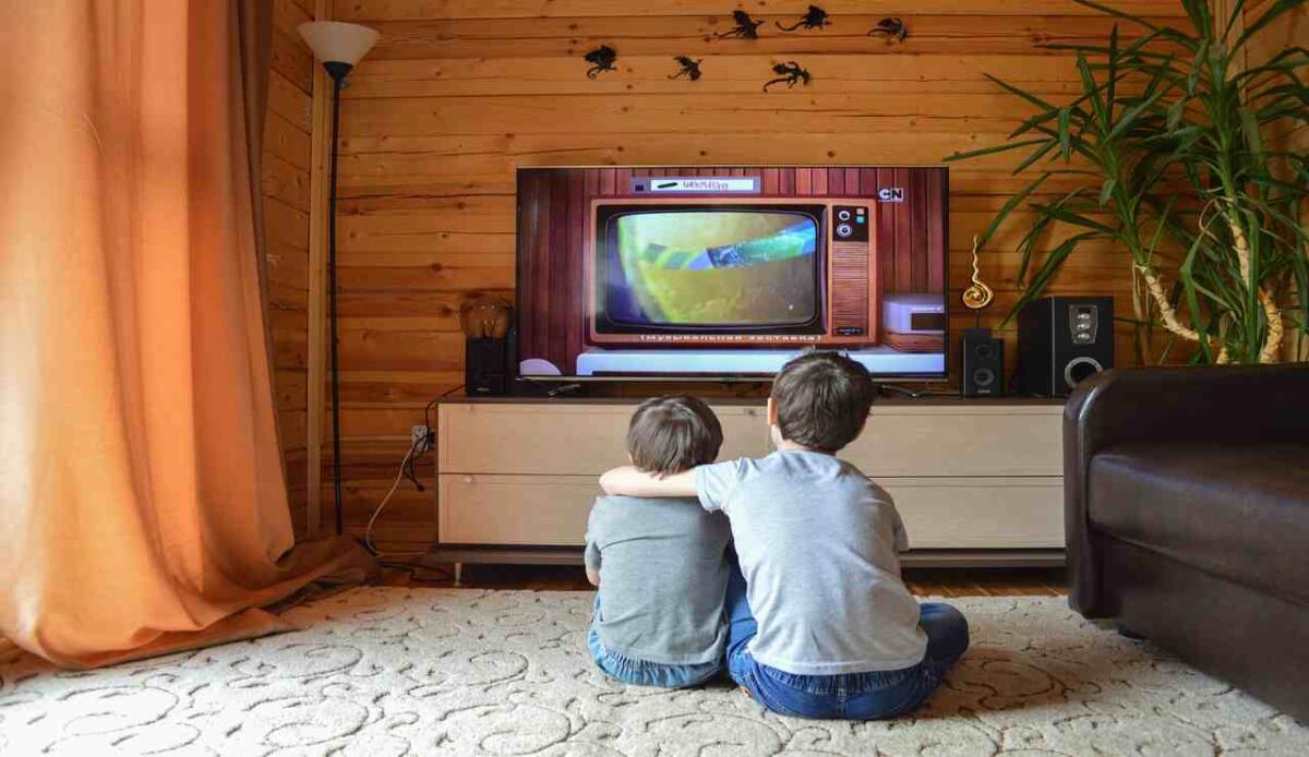 Canone Rai: divisioni nella maggioranza tra tensioni interne e interessi strategici - Televisione (Pixabay FOTO)  - www.managementcue.it