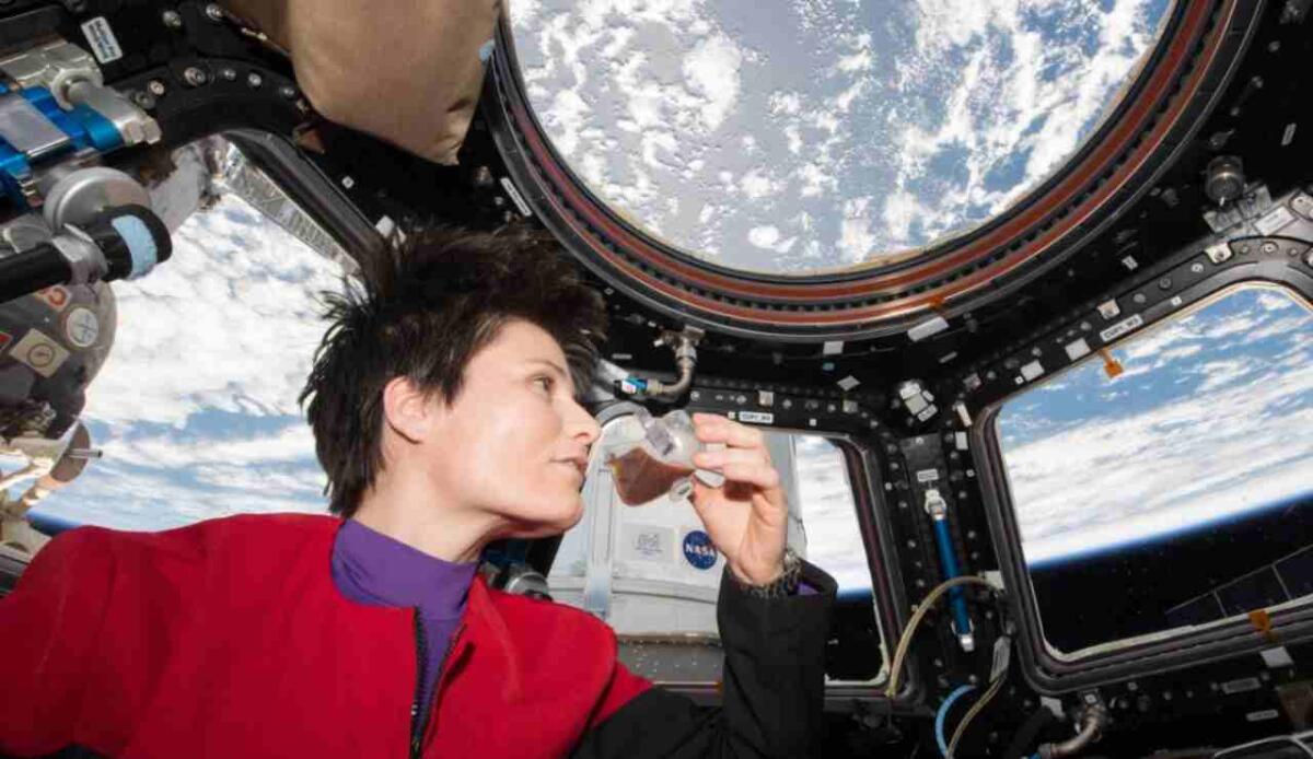 La tazzina da caffè spaziale che contiene i liquidi in assenza di peso - Samantha Cristoforetti sorsegga il caffé sulla ISS (NASA foto) - www.aerospacecue.it