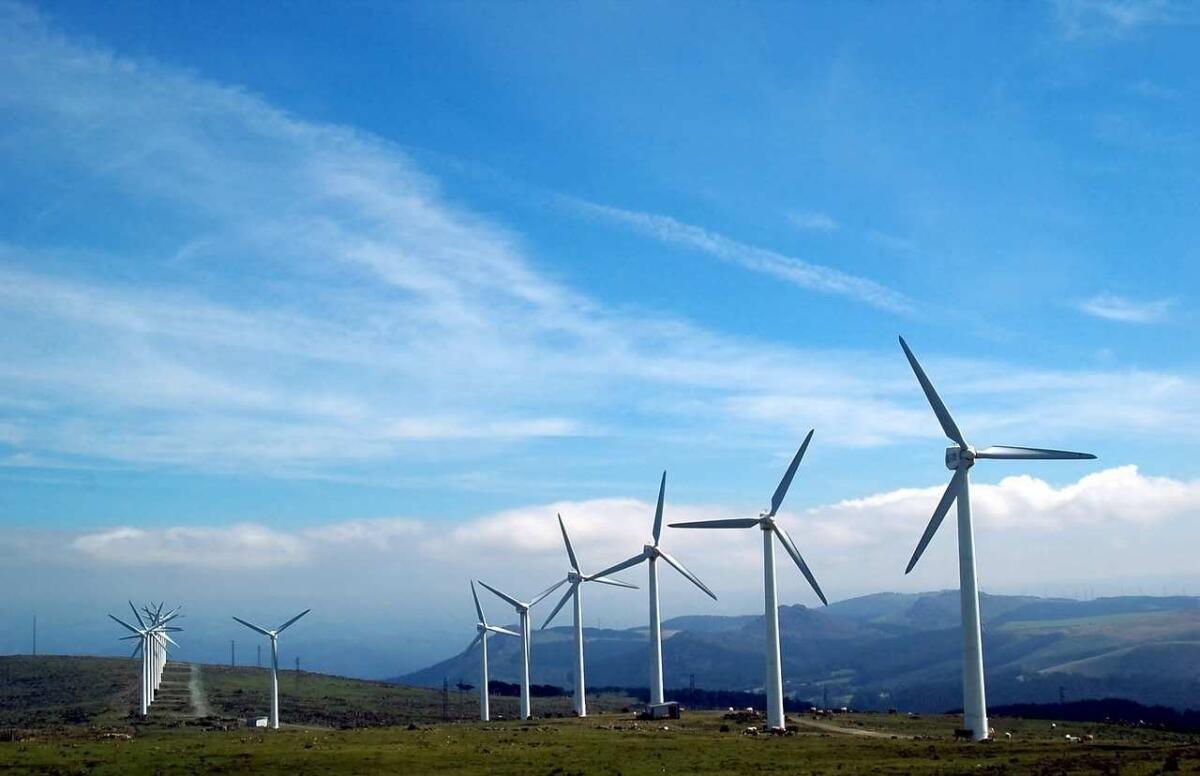 NWG Energia: il fornitore di energia 100% rinnovabile - 