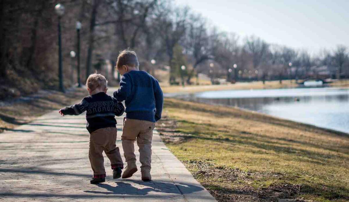Mutazione genetica: ecco cosa potrebbe determinare il sesso dei figli - Bambini al parco (Pixabay FOTO)- www.sciencecue.it