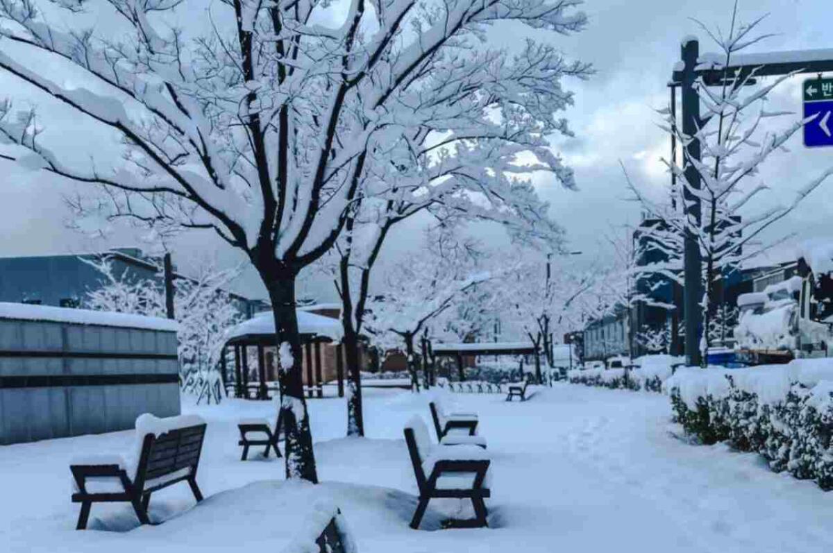 Corea del Sud: a Seul è in corso la più grande tempesta di neve mai registrata a novembre - Neve a Seoul, Corea del Sud (Facebook, When in Korea FOTO) - www.energycue.it