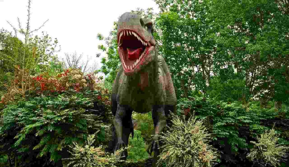 Trovato l'uovo di dinosauro più piccolo mai registrato - Dinosauri (Pexels Foto) - www.sciencecue.it