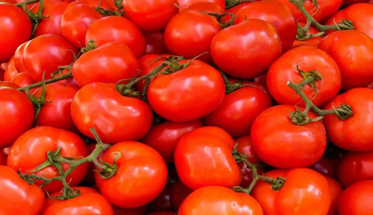 Pomodori più dolci e grandi grazie alla tecnica Crispr - Pomodori (Pexels Foto) - www.sciencecue.it