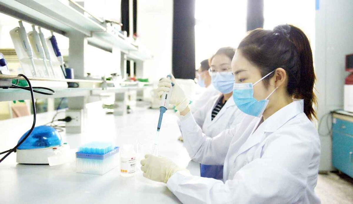 Degli scienziati cinesi hanno rianimato il cervello di un maiale dopo la morte - Esperimenti in laboratorio (Pixabay FOTO) - www.biomedicalcue.it