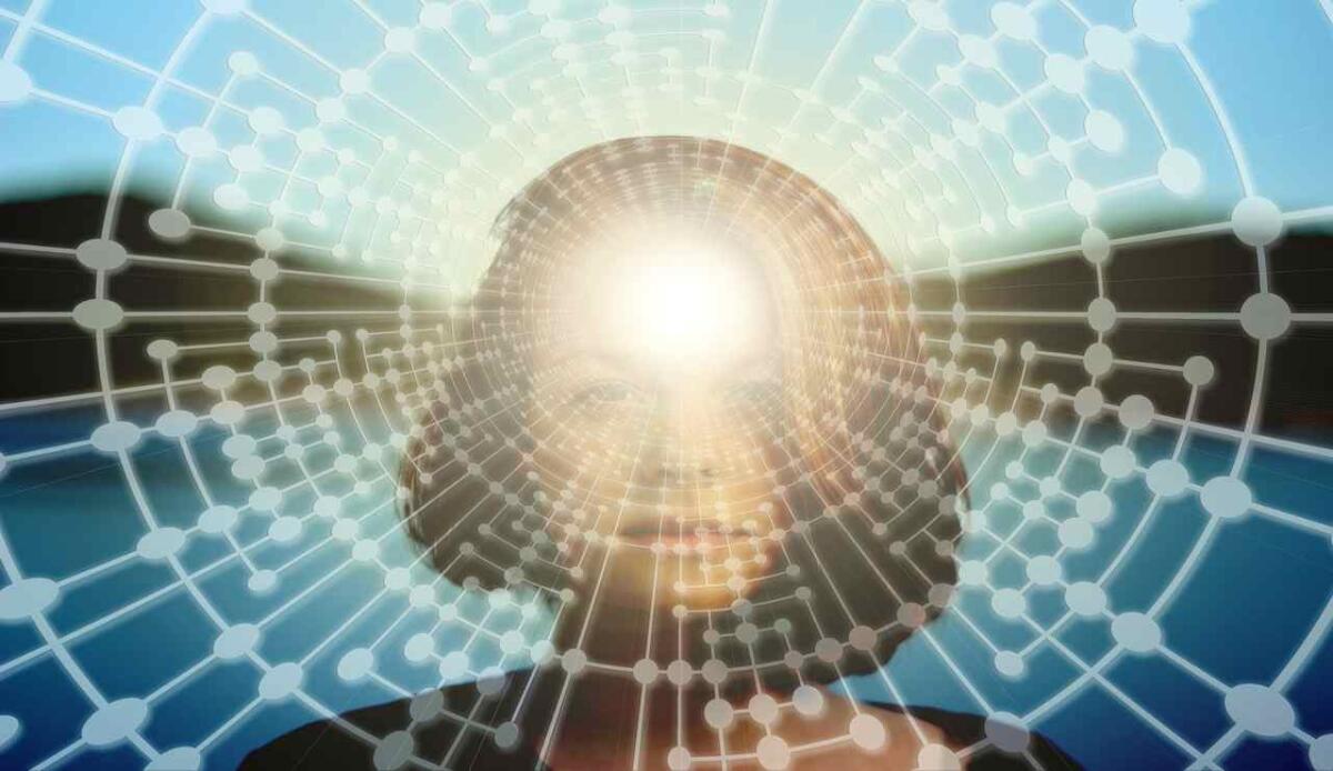 Notizie false, il cervello umano senza difese naturali - Mente umana (Pixabay FOTO) - www.biomedicalcue.it