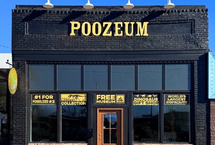Illustrazione del Poozeum (Poozeum FOTO) - www.sciencecue.it
