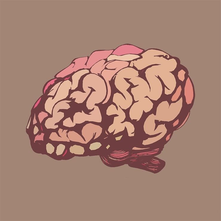 Illustrazione di un cervello (Pixabay FOTO) - www.biomedicalcue.it