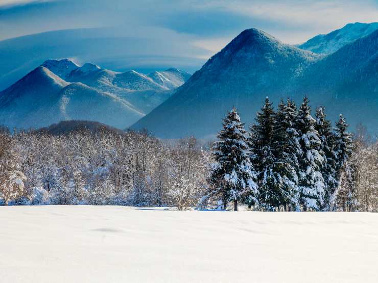 Paesaggio innevato (Depositphotos FOTO)- www.sciencecue.it