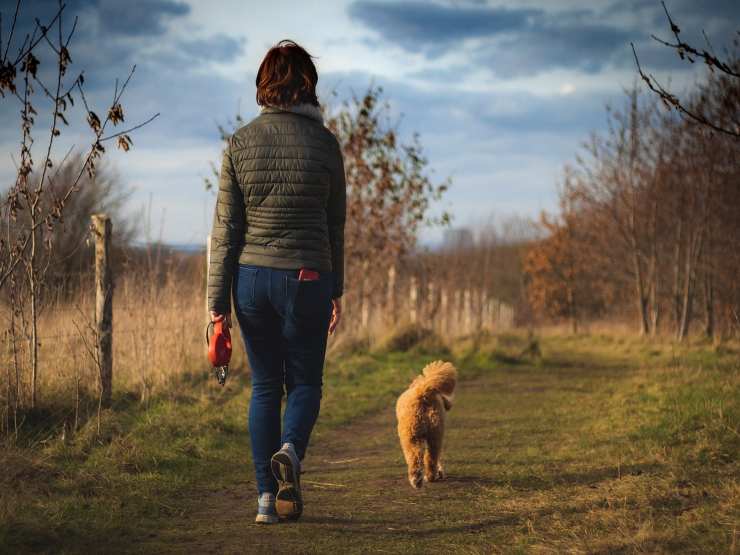 Passeggiata (Pixabay FOTO)- www.biomedicalcue.it