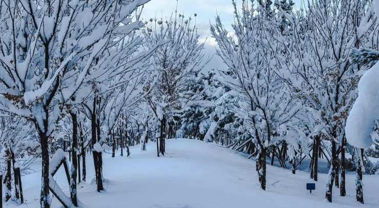 La tempesta di neve più grave mai registrata in Corea del Sud a novembre