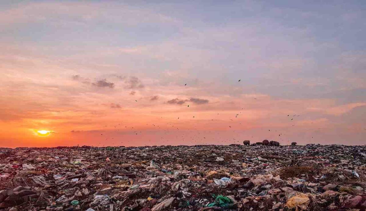 Oceano Pacifico: è allarme globale per l’isola di plastica che cresce sempre più velocemente - Spazzatura (Pixabay FOTO)- www.energycue.it