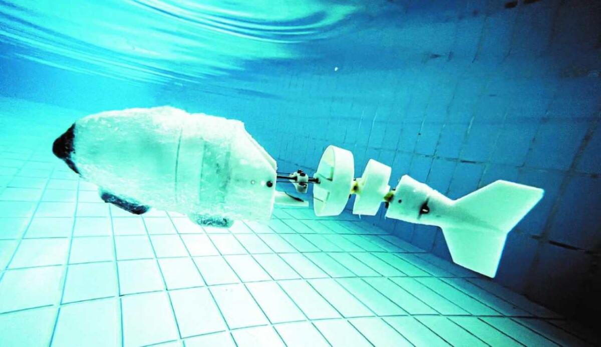 Robot e animali insieme: nuove strategie tecnologiche per combattere la crisi climatica - Esempio di pesce-robot (Scuola Superiore Sant’Anna di Pisa FOTO) - www.systemscue.it