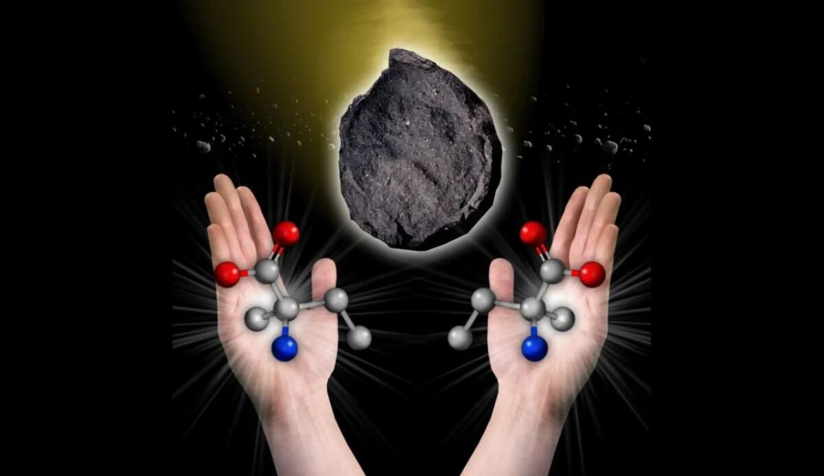 Perché la vita utilizza molecole con orientamenti specifici? La cosa resta ancora un mistero - Versione destrorsa e mancina dell’amminoacido isovalina, trovato nel meteorite di Murchison (Nasa FOTO) - www.sciencecue.it