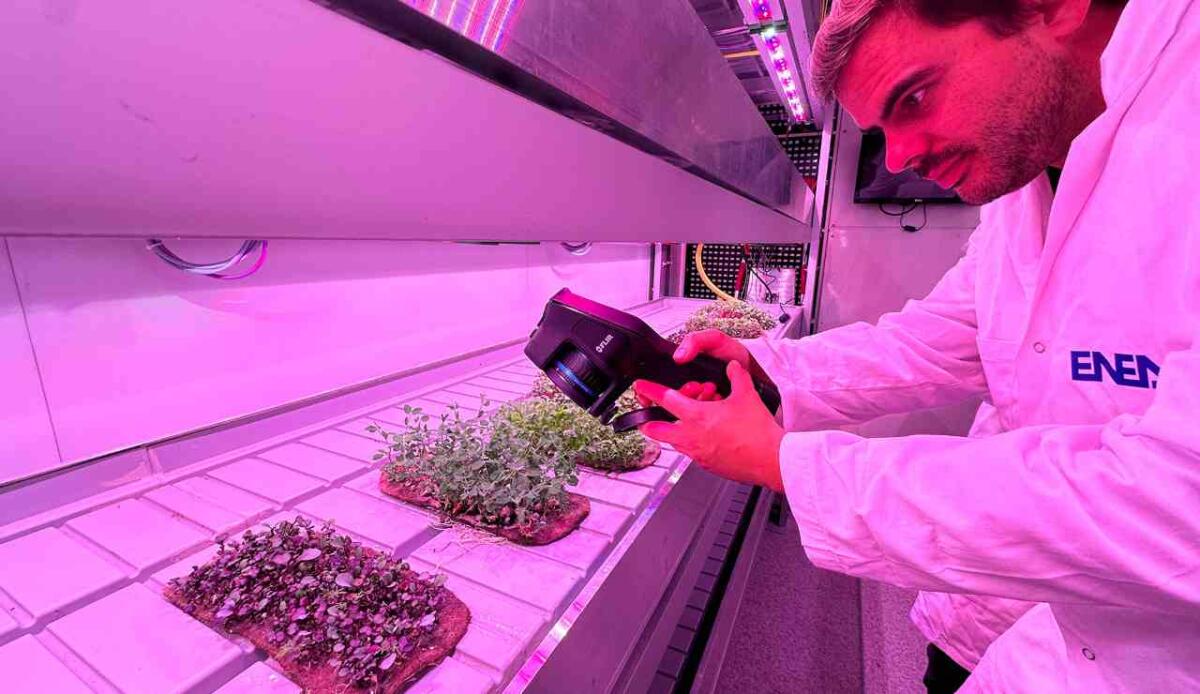 Ortaggi sulla Luna con questo nuovo laboratorio super tecnologico - Analisi termografica delle coltivazioni per la valutazione degli stress a livello vegetale (ENEA FOTO) - www.systemscue.it