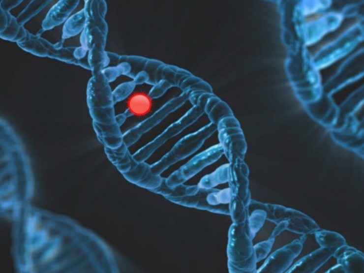 DNA (Pixabay FOTO) - www.systemscue.it