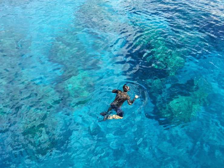 snorkeling (Pixabay FOTO) - www.marinecue.it