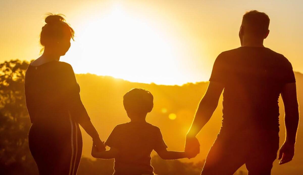 Asili nido gratis a Tokyo, la famiglia al centro delle attenzioni del governo - Famiglia (Pixabay FOTO) - www.managementcue.it