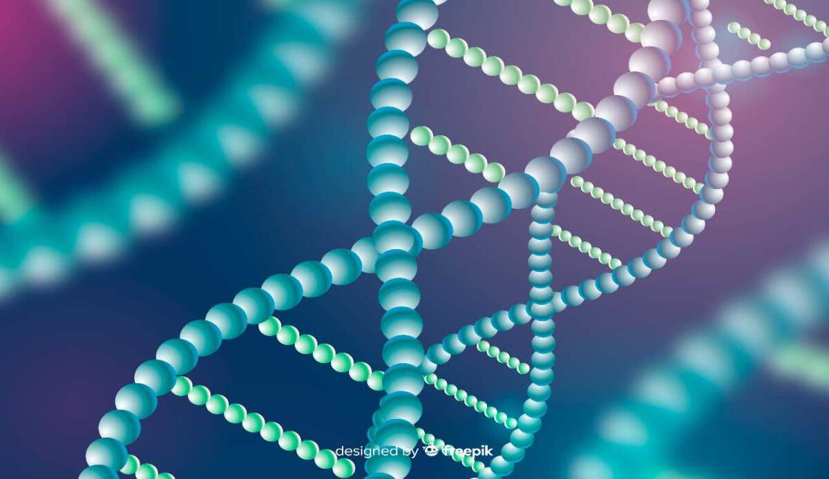 Cos'è il Dna-Cenerentola che è stato decodificato da poco? - Dna extracromosomale (Freepik) - www.systemscue.it