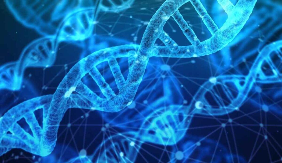 "Genome of Europe": al via il più grande studio mai realizzato sul Dna degli europei - DNA (Pixabay FOTO) - www.biomedicalcue.it