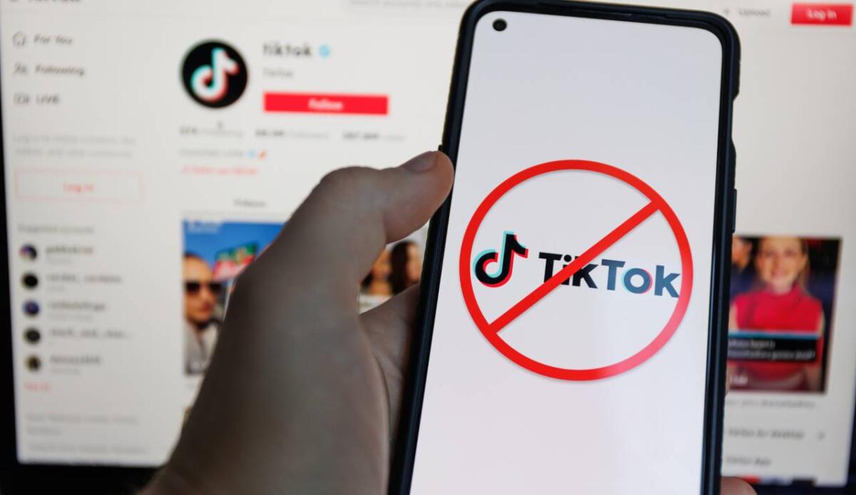 Da Musical.ly a TikTok: com'è cambiato il social più polemico negli USA - TikTok, ecco la sua storia (DepositPhotos) - www.systemscue.it