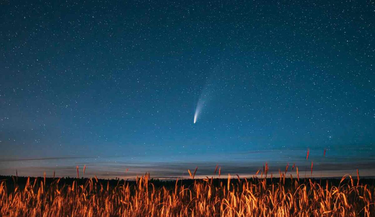Nasa, premiato un giovane astrofilo italiano: la foto della cometa è spettacolare - Una cometa in cielo (Immagine a scopo rappresentativo) (Canva foto) - www.aerospacecue.it