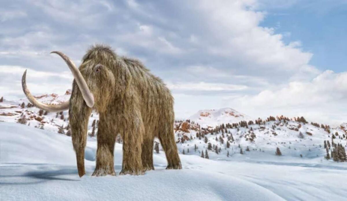 DNA e biotecnologie: gli scienziati sono pronti a riportare in vita i mammut - Illustrazione di un mammut (Depositphotos FOTO) - www.systemscue.it