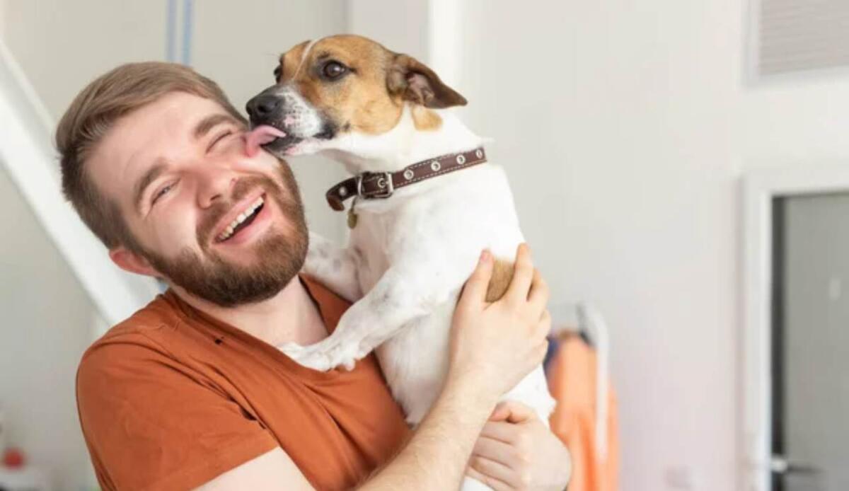 Intelligenza artificiale, in futuro potremmo svelare il linguaggio segreto dei cani - Illustrazione di un cane con il suo padrone (Depositphotos FOTO) - www.systemscue.it