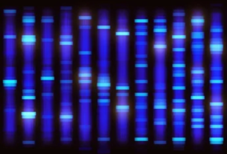 Illustrazione del sequenziamento del DNA (Depositphotos FOTO) - www.sciencecue.it