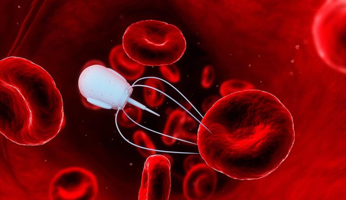 Nuovi nanorobot programmabili: trasportano enzimi e farmaci attraverso le membrane cellulari - La nuova funzione dei nanorobot (Canva) - systemscue.it
