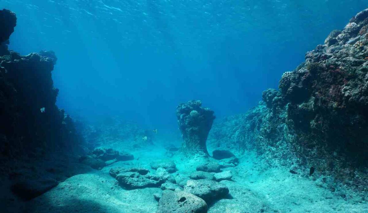 La placca oceanica Neotetide si spezza: uno strappo di 1.500 km tra Turchia e Iran - Fondale dell'oceano (Canva foto) - www.sciencecue.it