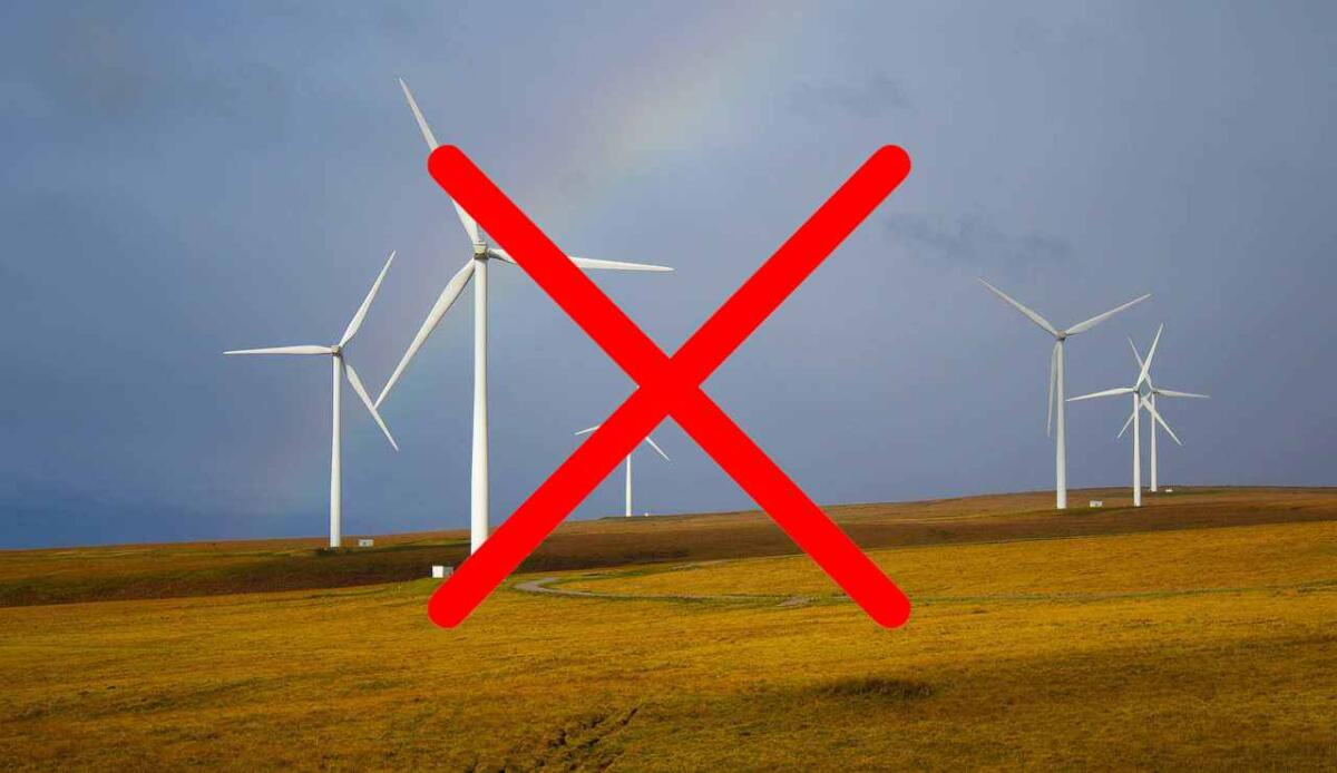Addio quelle classiche: ecco Quinoa, la turbina eolica che preserva la biodiversità - Alternative alle classiche pale eoliche (Pixabay foto) - www.energycue.it