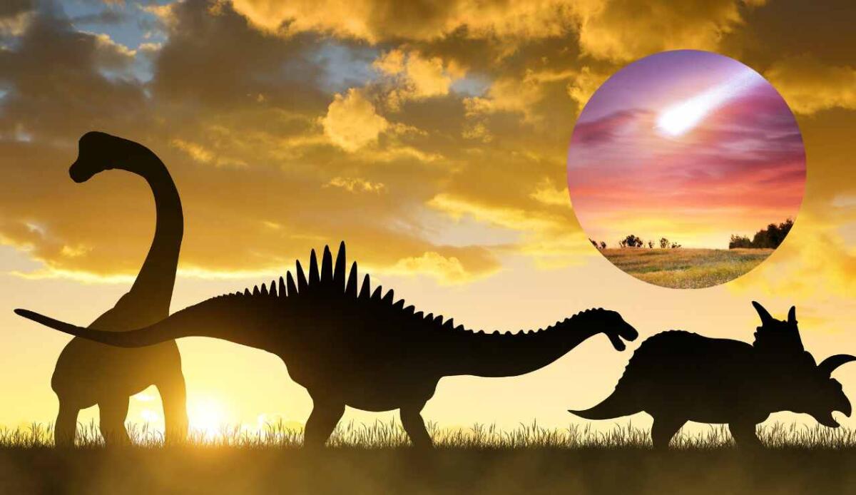 Dinosauri: la colpa dell'estinzione è solo del meteorite, non dei vulcani - Illustrazione di dinosauri e di un meteorite (Canva foto) - www.sciencecue.it