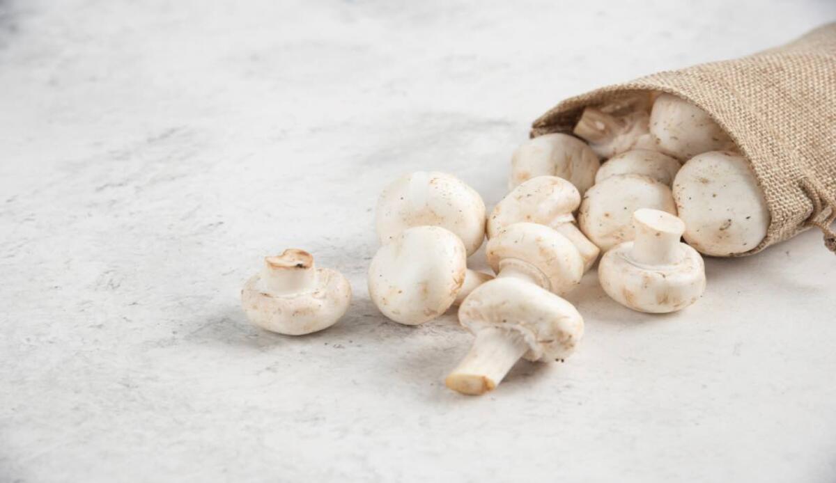 Funghi, un nuovo integratore potrebbe ridurre il rischio di cancro alla prostata - Funghi prataioli bianchi (Freepik) - www.systemscue.it
