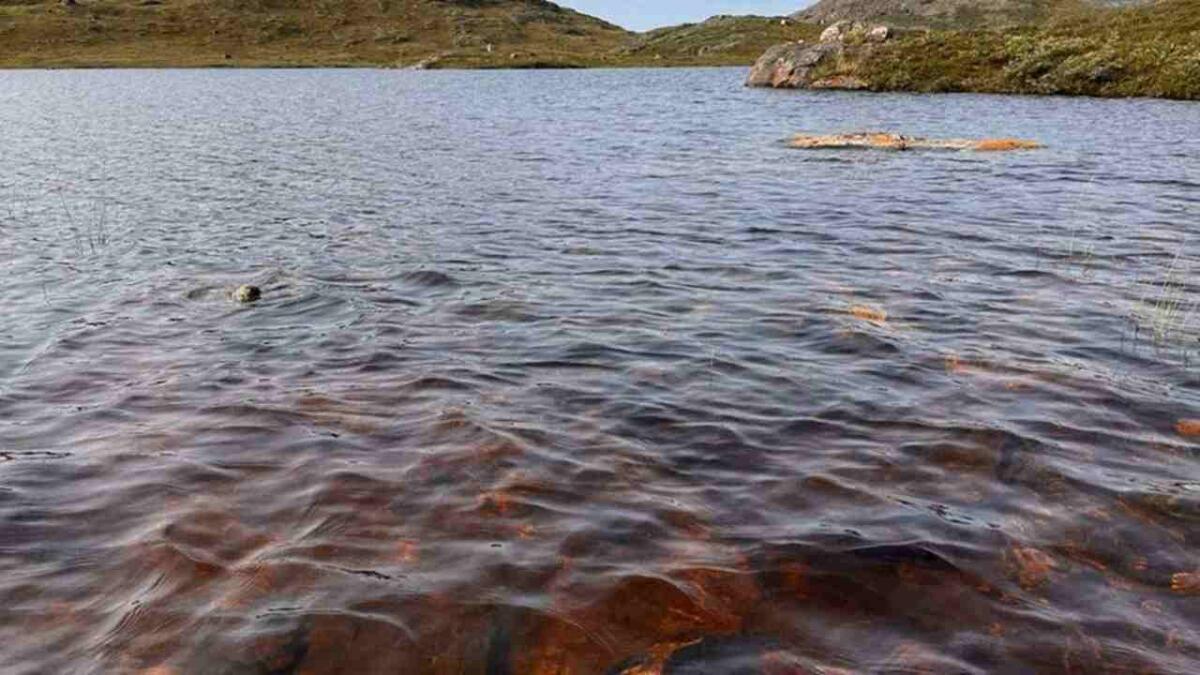 Groenlandia: in meno di un anno i laghi hanno cambiato colore - Le acque dei laghi groenlandesi (University of Maine foto) - www.marinecue.it
