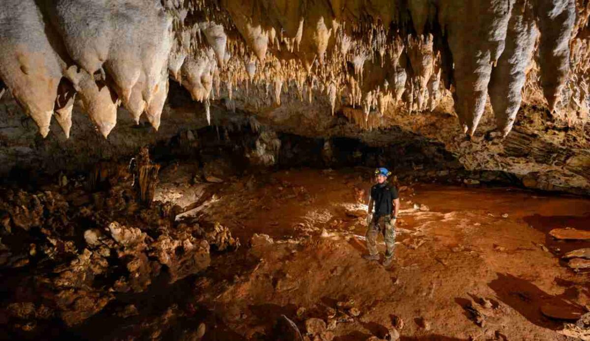 Piante che crescono al buio: l’impatto inaspettato del turismo nelle grotte sacre - Escursione nella grotta ATM (Belize Fun Tours foto) - www.sciencecue.it