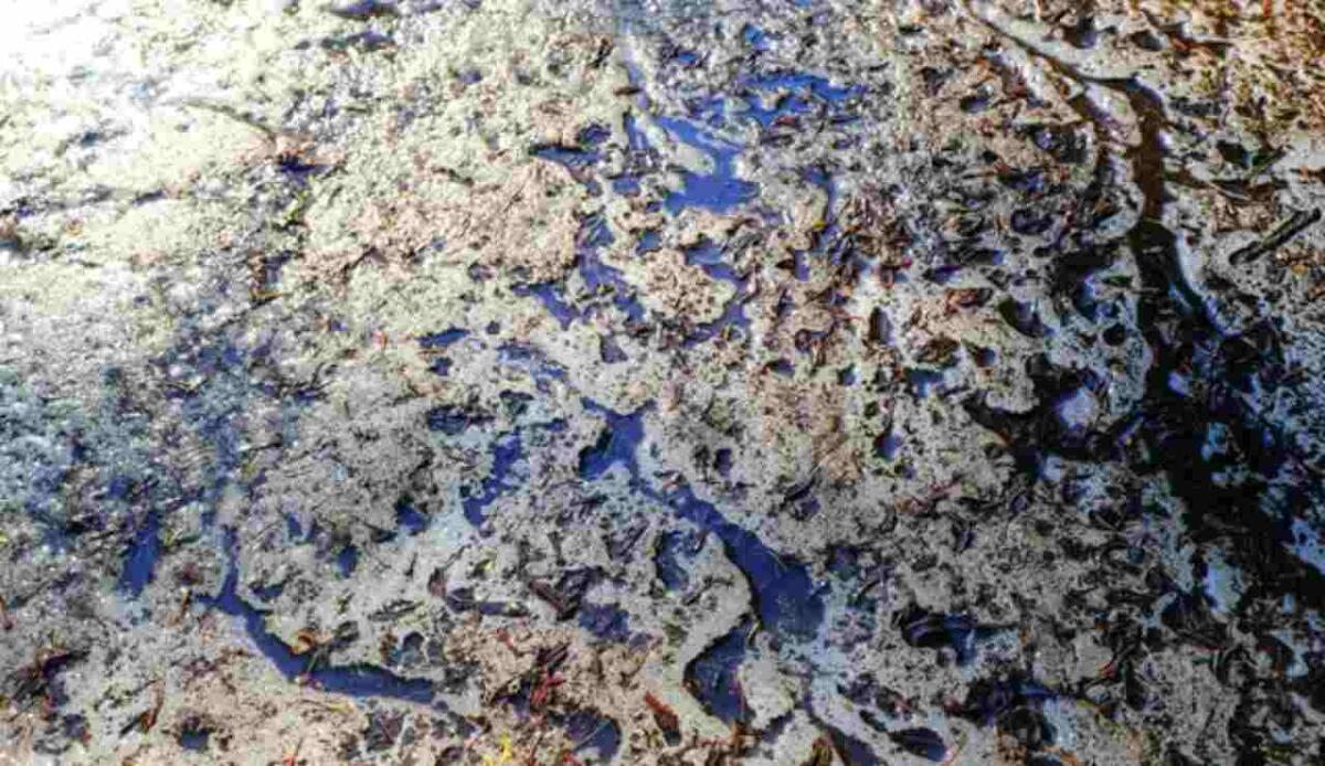 Il permafrost si scioglie: una gran quantità di carbonio verrà rilasciata in futuro - Illustrazione di una piccola parte di permafrost (Depositphotos FOTO) - www.energycue.it