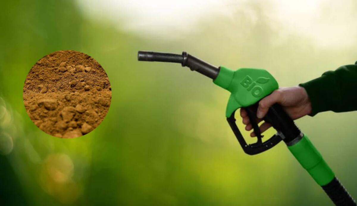 Lignin Power: il carburante per aerei sostenibile prende il volo - Biocarburante e lignina (Depositphotos foto) - www.energycue.it