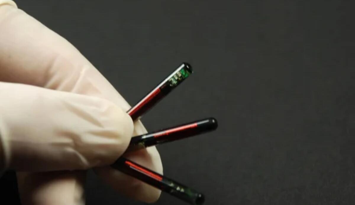 Sanità, alcuni microchip sono in grado di identificare più malattie da un singolo respiro - Fiala con chip dentro (Depositphotos foto) - www.biomedicalcue.it